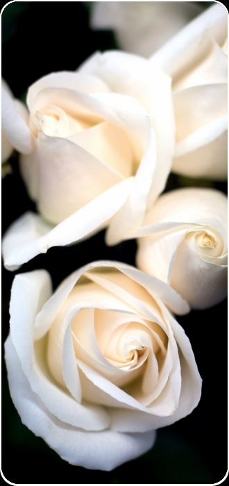 Professional Bagpipers for Funeral and interment services